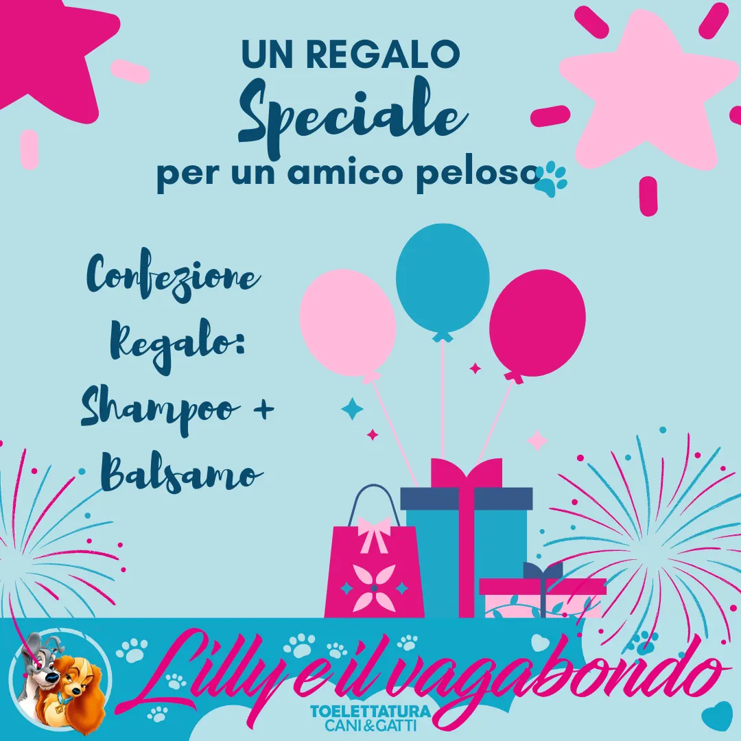 La Coccola Perfetta Per Gli Amici A Quattro Zampe - Toelettatura Bergamo La Coccola Perfetta Per Gli Amici A Quattro Zampe - Toelettatura Bergamo