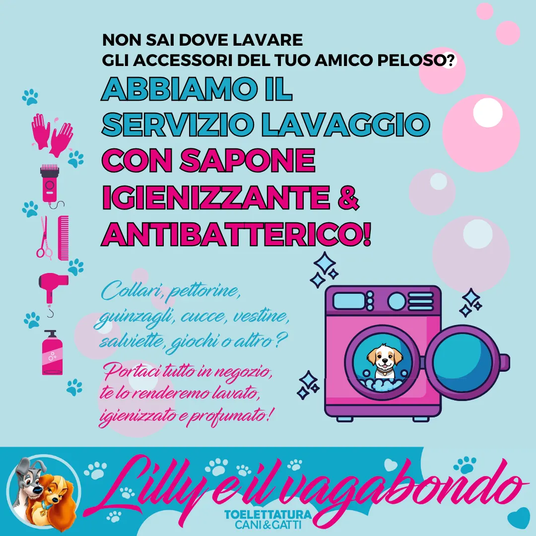 Novità In Negozio - Toelettatura Bergamo Novità In Negozio - Toelettatura Bergamo
