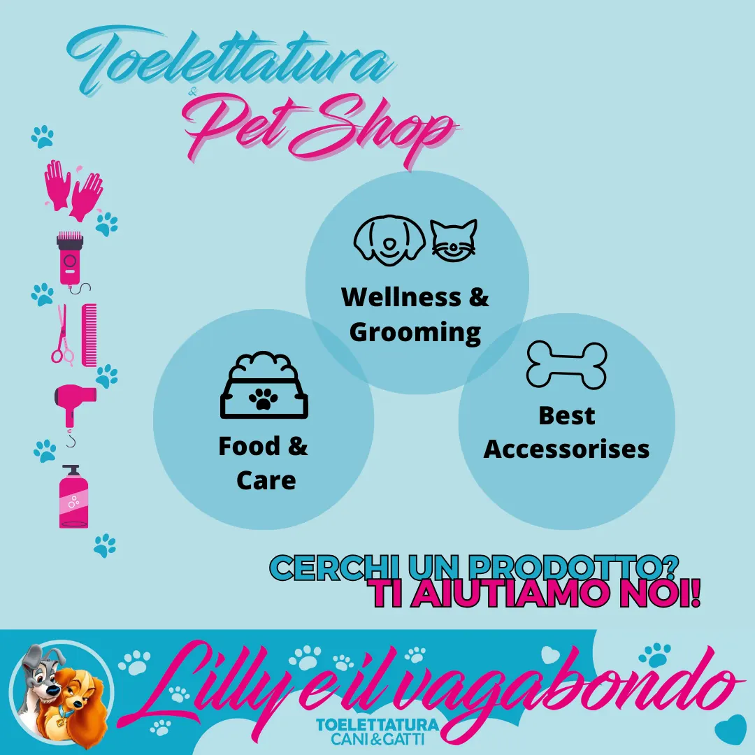 Non Solo Toelettatura - Toelettatura Bergamo Non Solo Toelettatura - Toelettatura Bergamo